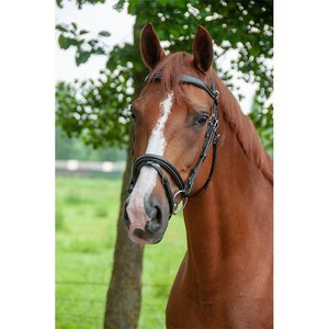 Dyon Working Collection Bridle Flash Noseband