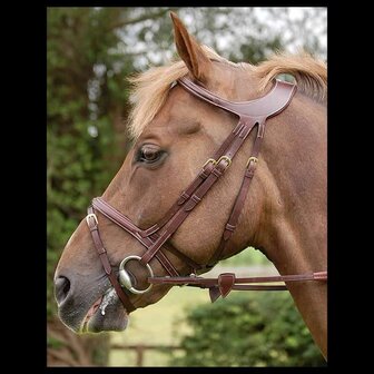 DYON Difference Collection  Bridle Comb.Noseband