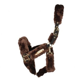 KENTUCKY Transport Halter wool / fur