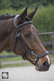 LJ Pro Selected noseband polidor