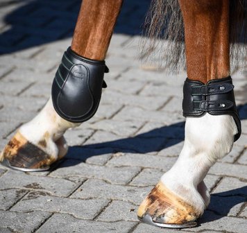 AMERIGO Fetlock Boots Stud