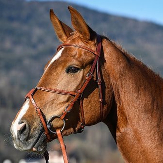 Amerigo Vespucci Grakle bridle (mex) excl. Reins