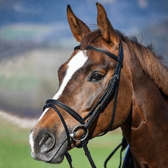 Amerigo Vespucci Flash bridle (Engels), excl. Reins