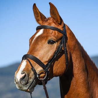 Vespucci Dressage Snaffle excl. reins