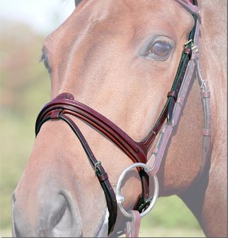 DYON NEC Flash Noseband