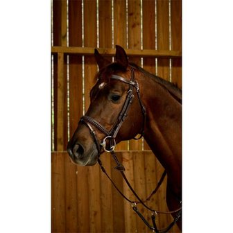 Dyon Working Collection Bridle Flash Noseband