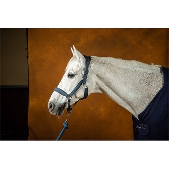 Dyon NEC Nubuck Head Collar