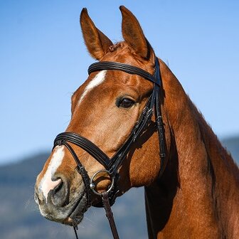 Vespucci Flash Noseband