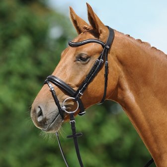 Passier bridle Juno