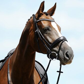 Passier bridle Atlas