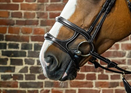 Dy&#039;on double noseband