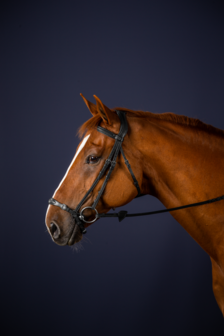 DYON NEC Drop noseband bridle