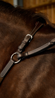 DYON Working Collection Breastplate Martingale With Bridge