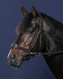 Dyon D Motion Bridle NEC