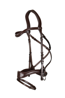 Dyon D Motion Bridle NEC