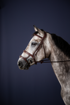 DYON Double Noseband Bridle 