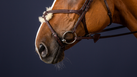 DYON New English Collection Fig. 8 noseband