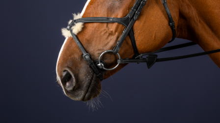 DYON New English Collection Fig. 8 noseband