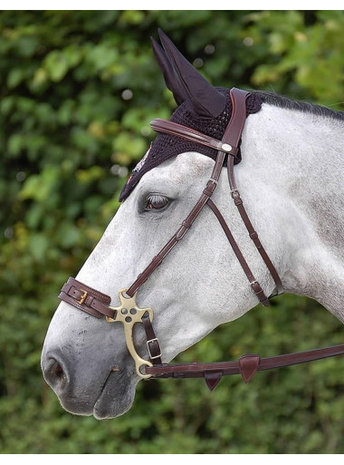 DYON Hackamore Bridle