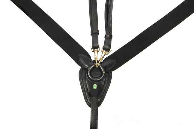 LJ Elastic front gold buckles