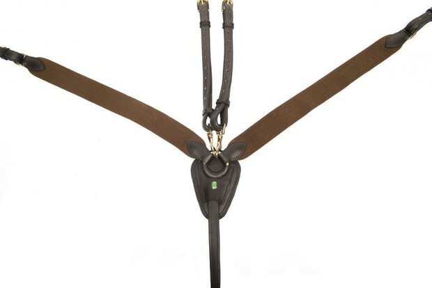 LJ Elastic front gold buckles