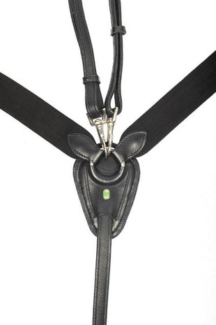 LJ Elastic front chrome buckles