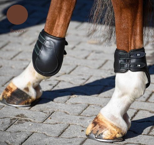 AMERIGO Fetlock Boots Stud