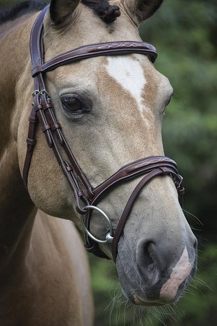 LJ Pro Selected Bridle Legacy