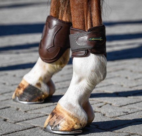 Amerigo Fetlock Boots Pialotta Velcro