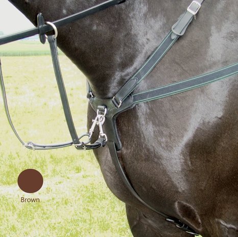 Amerigo Breastplate Event