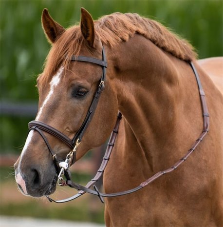 One Training bridle