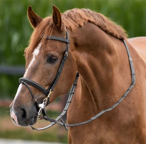 One Training bridle