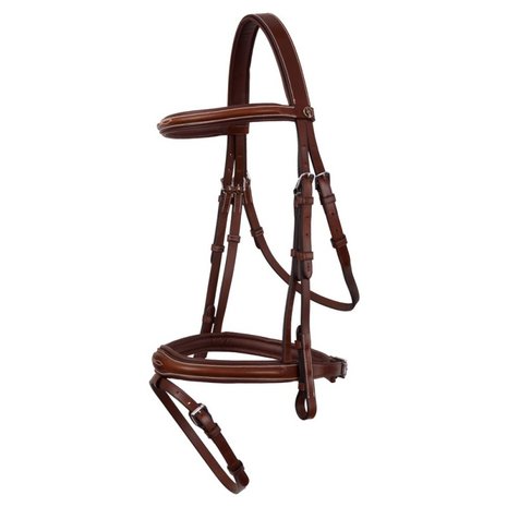 BR Bridle Cheltenham