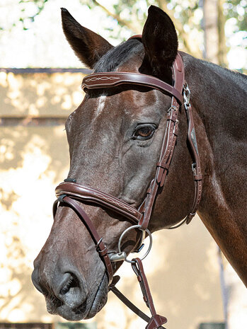 Equiline Anatomical Bridle Brown
