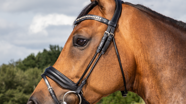 DYON Dressage Collection bit cheeck piece black