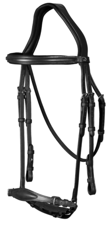 DYON NEC Drop noseband bridle