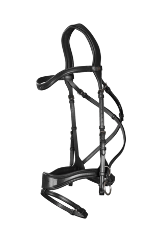 Dyon D Motion Bridle NEC