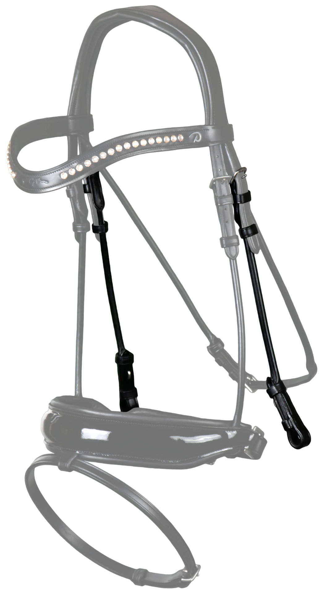 Bit and bridle deals