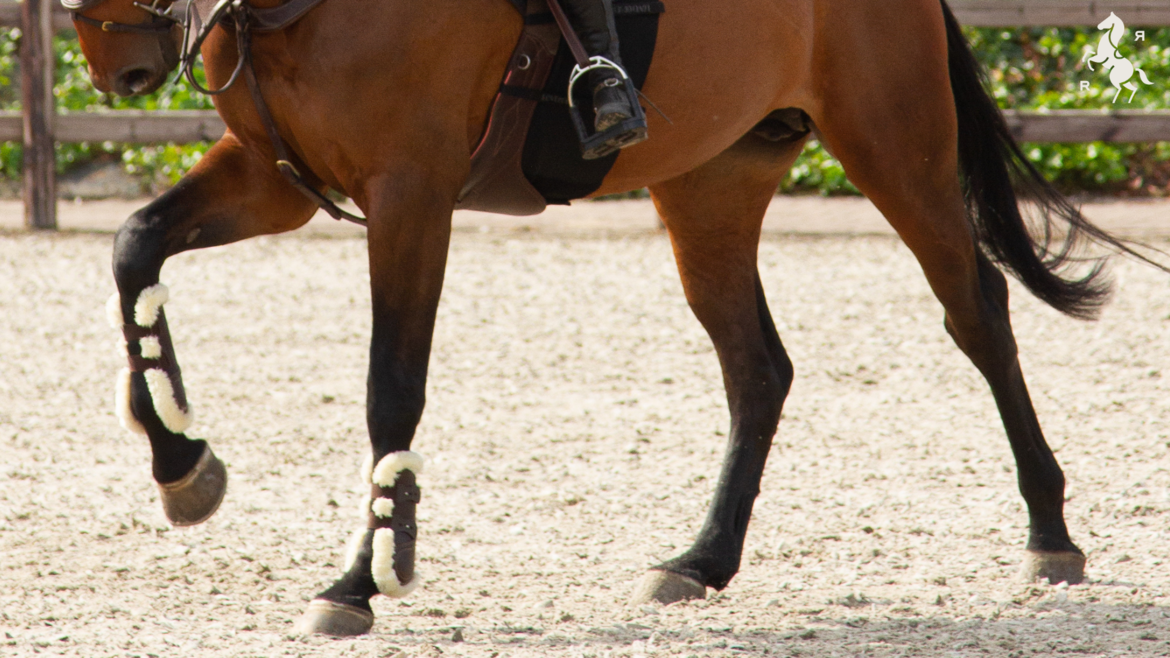 MOK - Voorkomen & genezen