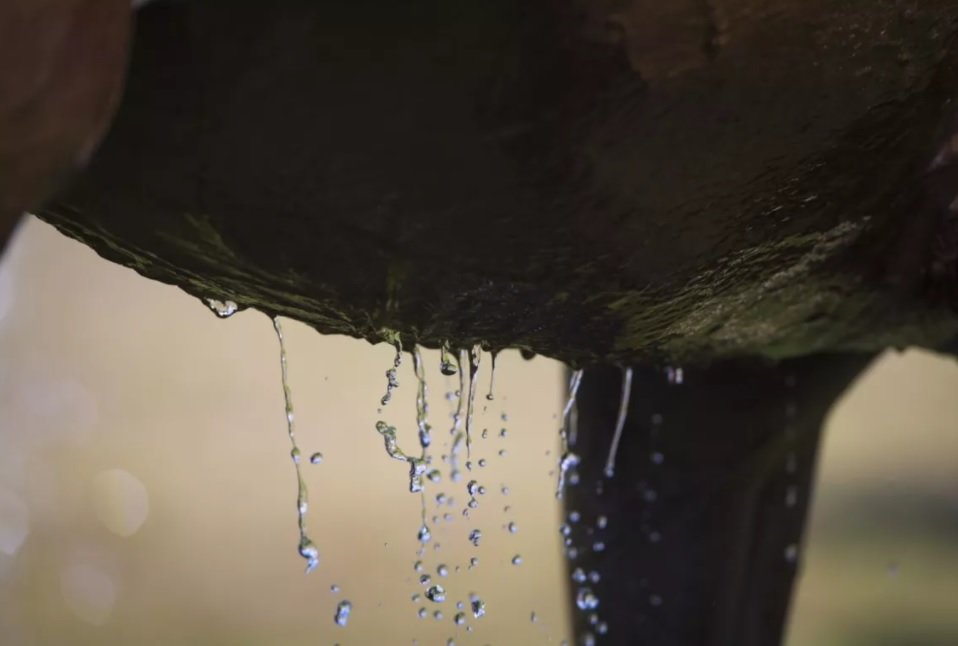 Electrolyten voor je paard - onzin?