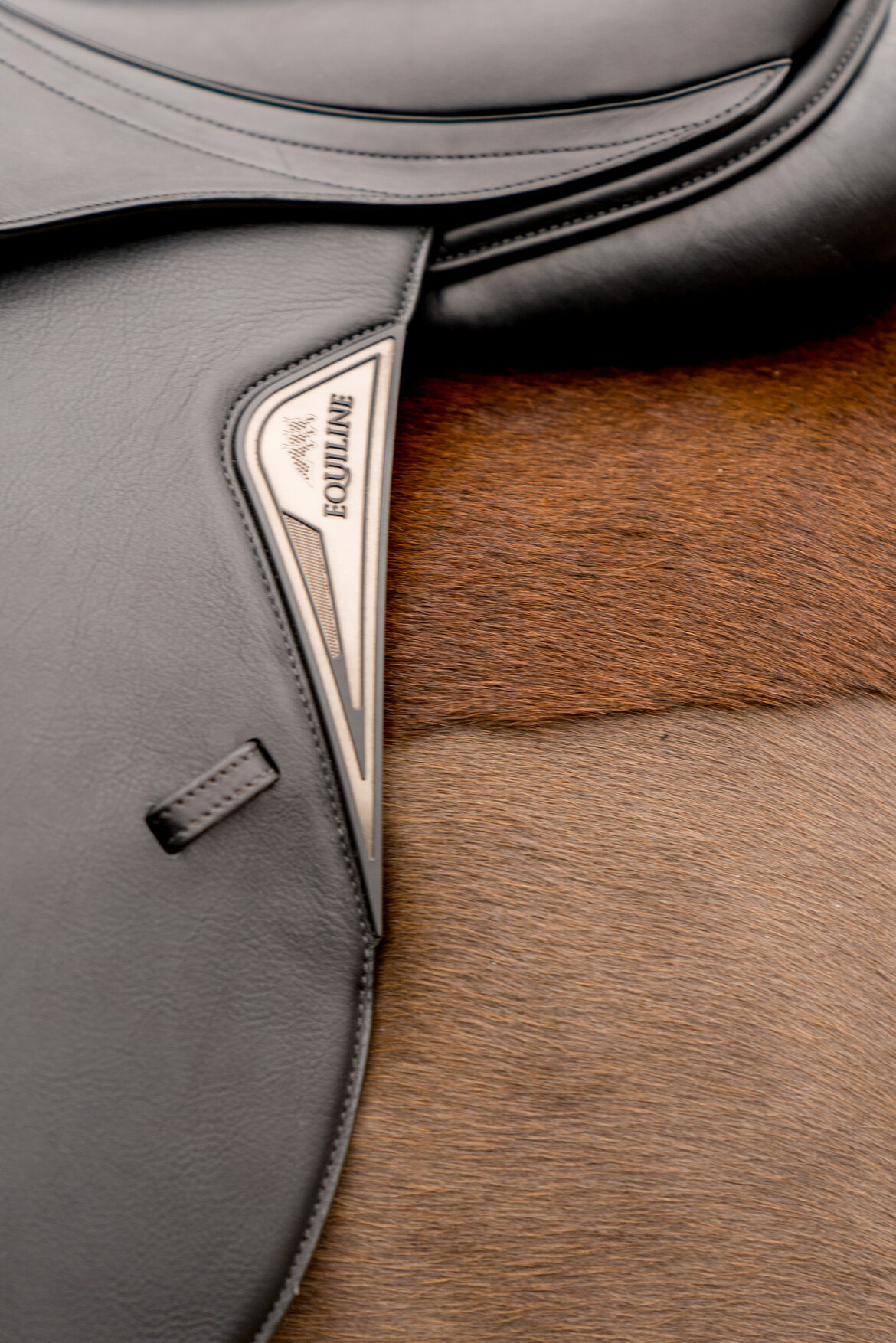 Zadels in the picture ! Equiline