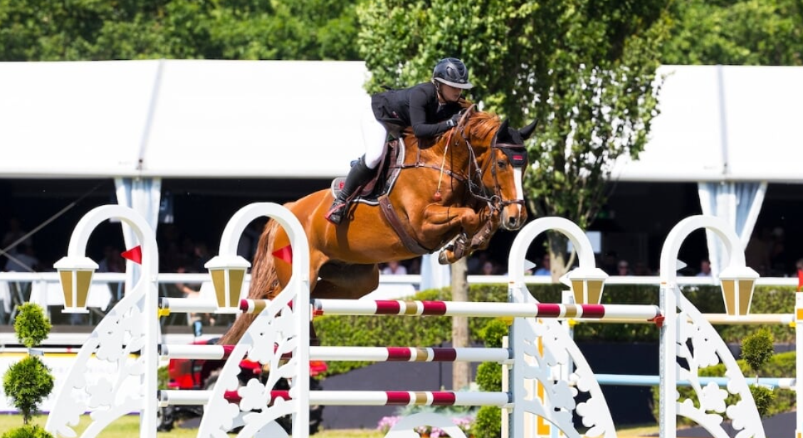 Ambassadeur Teddy van de Rijt 