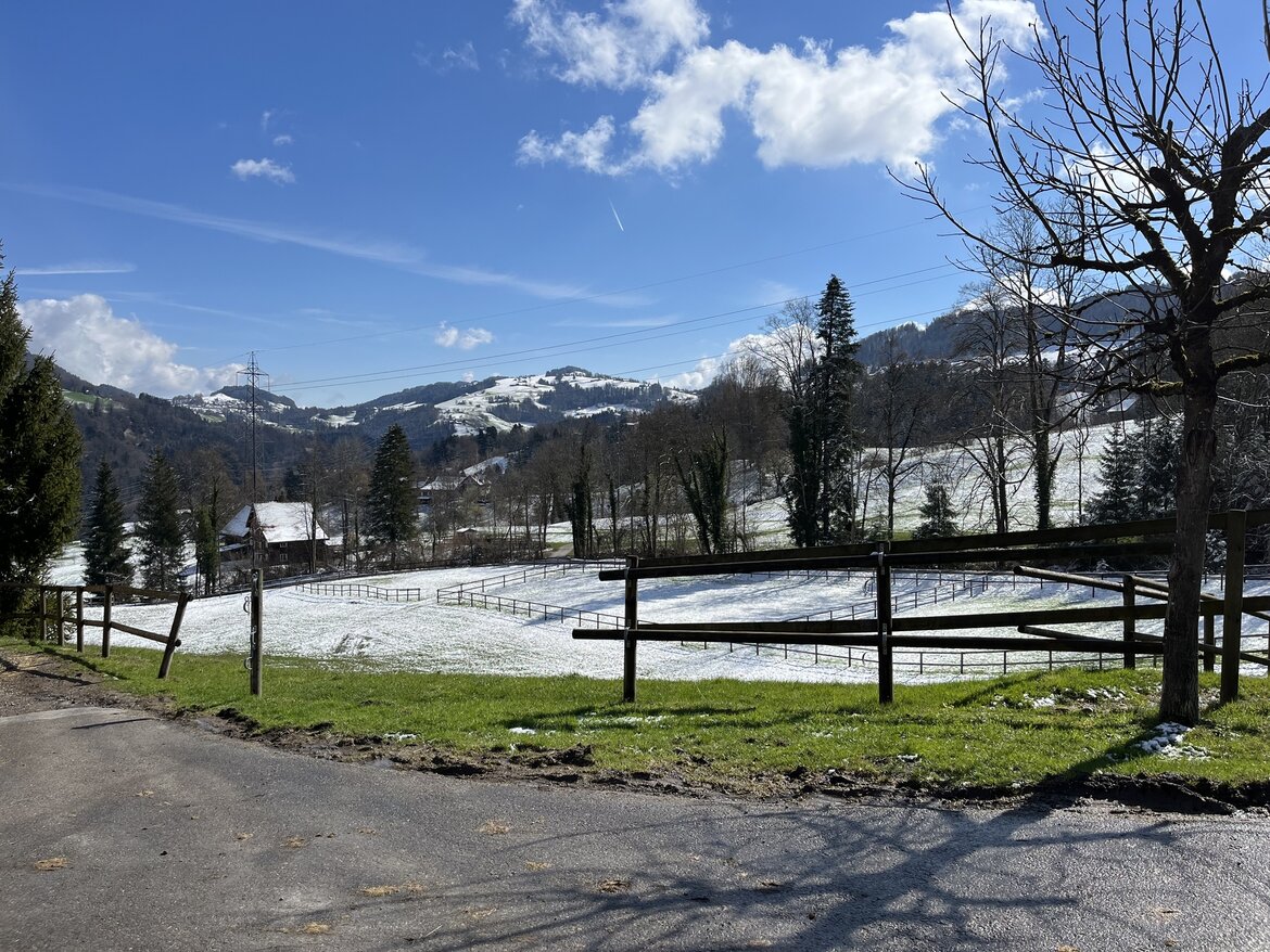 Op Amerigo werkbezoek in Zwitserland