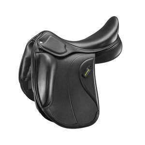 Amerigo Pasubio Siena Pinerolo dressuurzadel