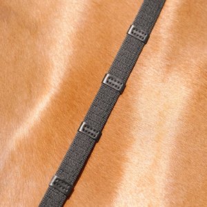 Passier webband teugels (9 stops)