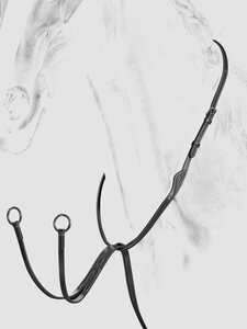 Equiline Martingaal  Bruin