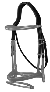 Dyon NEC. Anatomic Hoofdstuk bruin